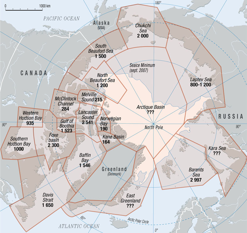 PolarBearPopulations800