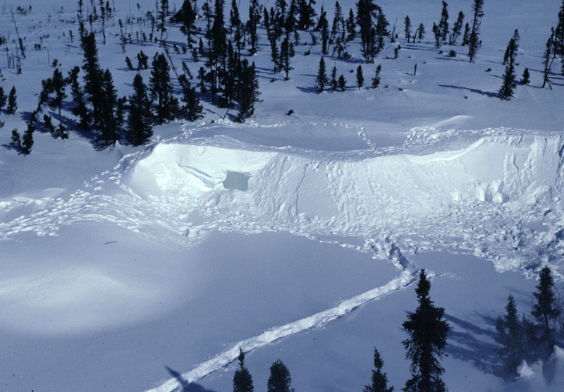 den site and tracks800