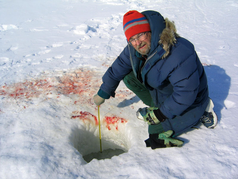 hole clawed through solid ice800