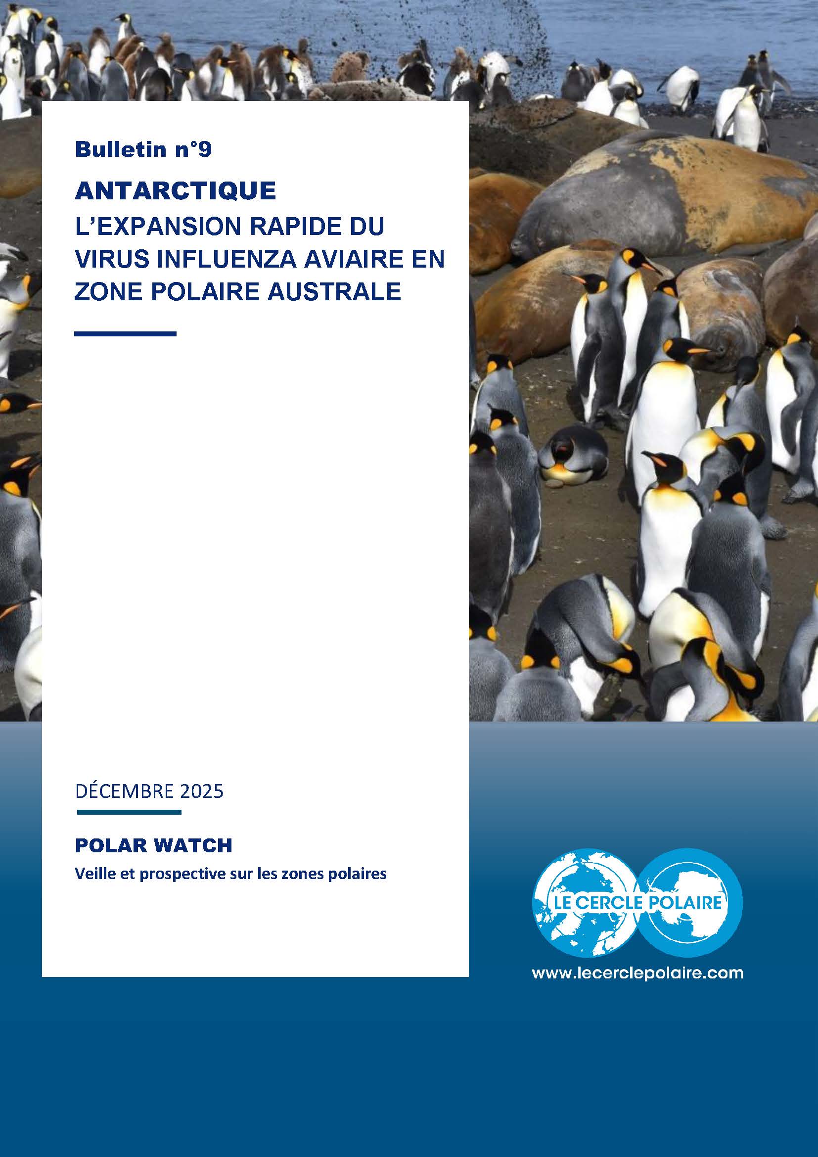 POLAR WATCH 9ANTARCTIQUE – L’expansion rapide du virus influenza aviaire en zone polaire australe